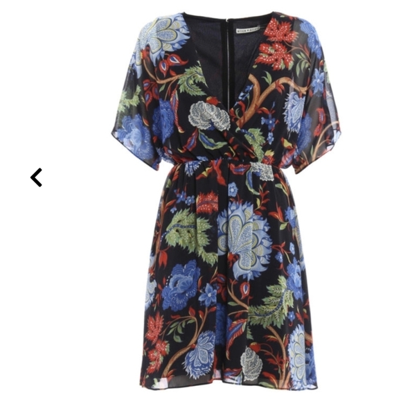 Alice and Olivia Cay floral mini dress - Picture 2 of 8